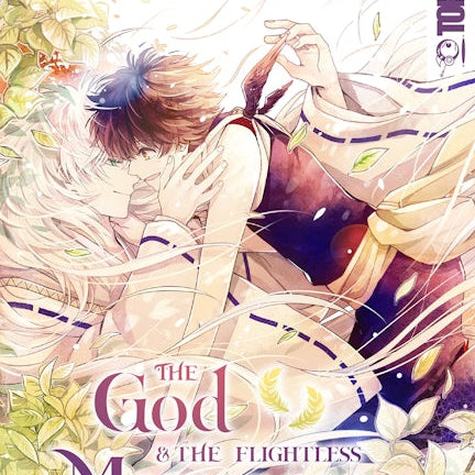 Cover image for The God and the Flightless Messenger, isbn: 9781427866776