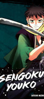 Cover image for Sengoku Youko, Volume 4, isbn: 9781427874191