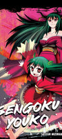 Cover image for Sengoku Youko, Volume 5, isbn: 9781427875266