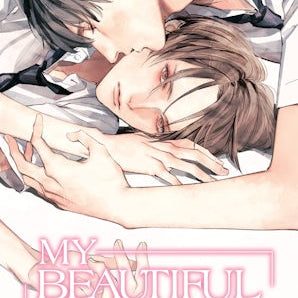 My Beautiful Man, Volume 1 (Light Novel)