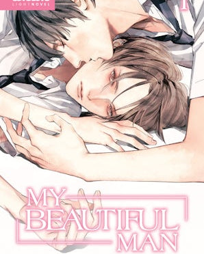 My Beautiful Man, Volume 1 (Light Novel)