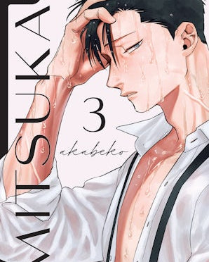 Mitsuka, Volume 3
