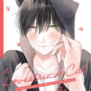 A Lovestruck Cat Wants to Be Petted