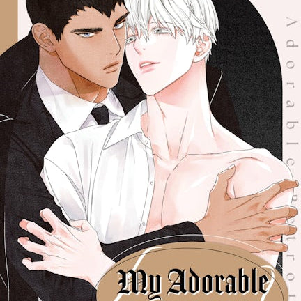 Cover image for My Adorable Betrothed, isbn: 9781427881335