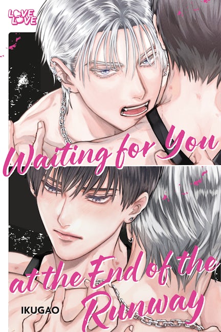 Cover image for Waiting for You at the End of the Runway, isbn: 9781427884992