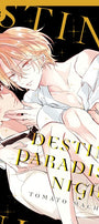 Cover image for Destiny Paradise Night, isbn: 9781427886132