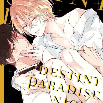 Cover image for Destiny Paradise Night, isbn: 9781427886132