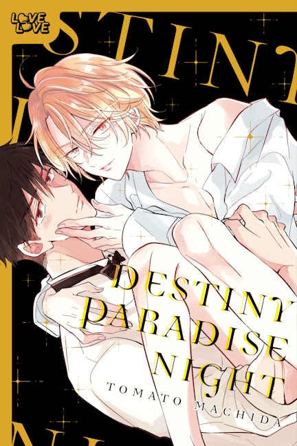 Cover image for Destiny Paradise Night, isbn: 9781427886132