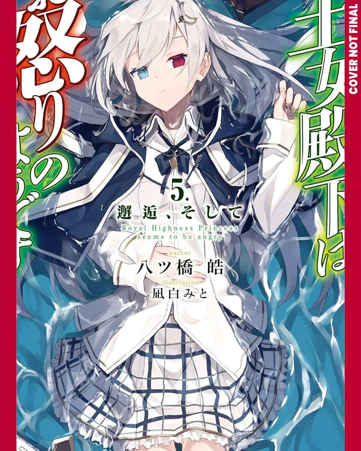 Cover image for Her Royal Highness Seems to Be Angry, Volume 5 (Light Novel), isbn: 9781427886187