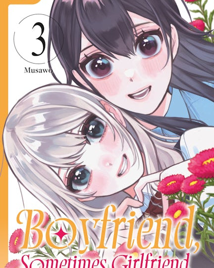 Boyfriend, Sometimes Girlfriend
