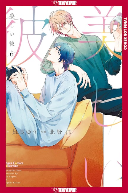 Cover image for My Beautiful Man, Volume 6 (Manga), isbn: 9781427891075